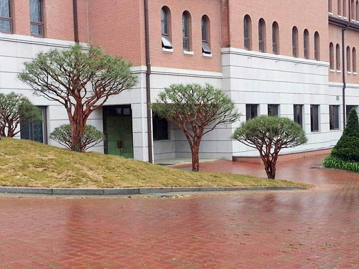 KakaoTalk_20150504_020404180.jpg